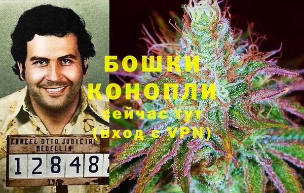 марки nbome Белокуриха