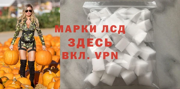 стаф Беломорск