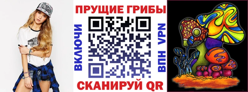 Купить где Новосиль Галлюциногенные грибы MAGIC MUSHROOMS