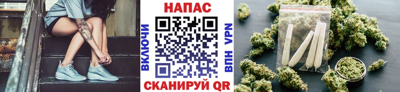 Канабис сатива Купить закладки Новосиль